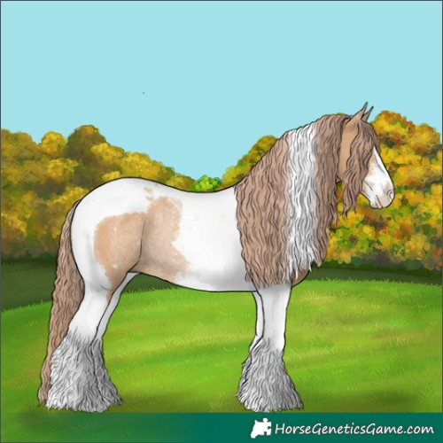 Horse Color:White Spotted Red Dun Tobiano Rabicano