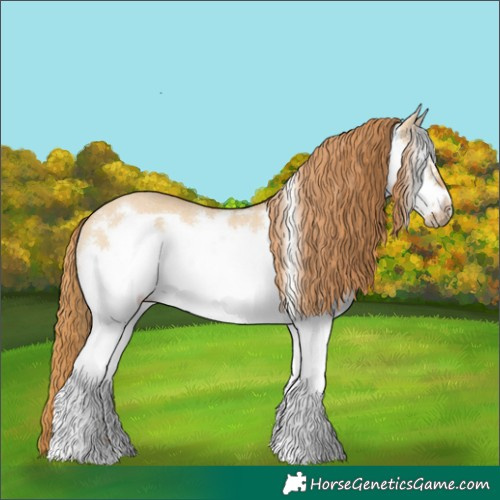Horse Color:White Spotted Red Dun Frame Rabicano 
