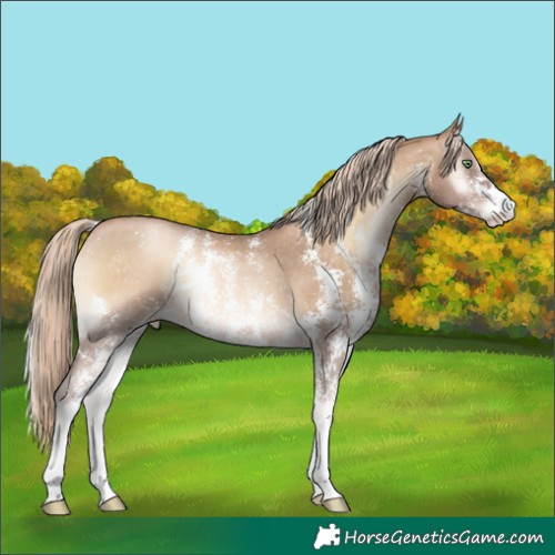 Horse Color:Chocolate Palomino Pearl Onyx Sabino Varnish Rabicano 