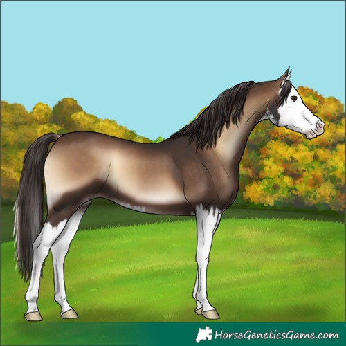 Horse Color:White Spotted Liver Red Onyx Splash