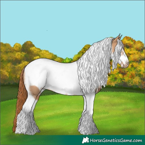 Horse Color:Red Dun Tobiano Frame Rabicano 