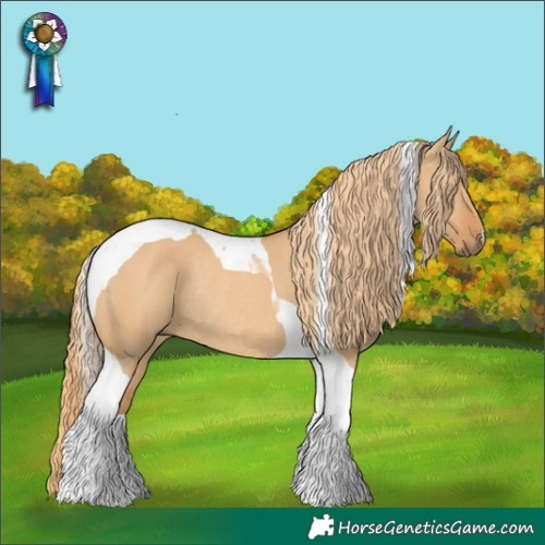 Horse Color:Red Dun Tobiano Rabicano 