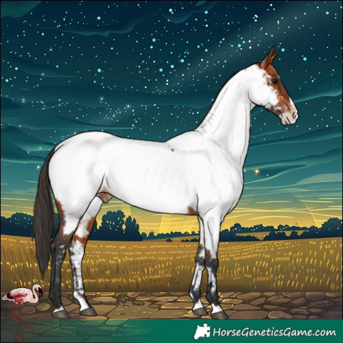 Horse Color:Bay Splash Near Fewspot