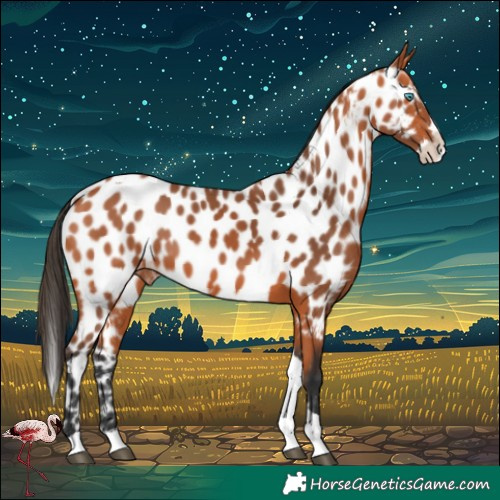 Horse Color:Bay Splash Tobiano Near Leopard