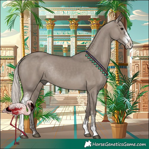 Horse Color:Silver Grullo Sabino Rabicano