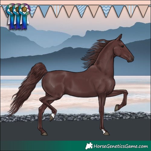 Horse Color:Chocolate Black Chinchilla