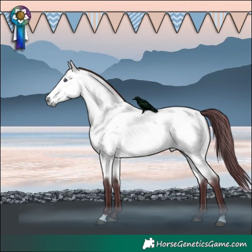Horse Color:Chocolate Buckskin Chinchilla 