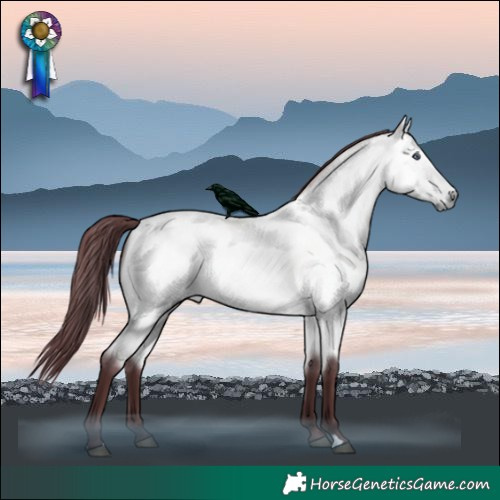 Horse Color:Chocolate Buckskin Chinchilla 