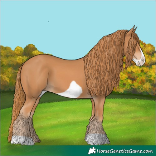 Horse Color:Chestnut Frame