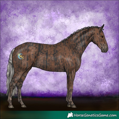 Horse Color:Black and Silver Black