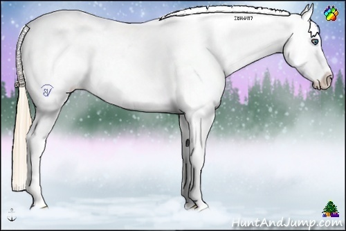 Horse Color:Perlino Appaloosa 