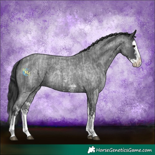 Horse Color:Blue Roan Sabino Splash  and Blue Roan Sabino Splash 