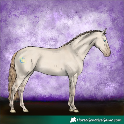 Horse Color:Smoky Creme Dun 