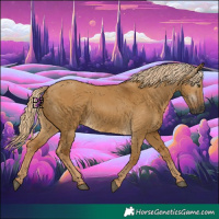 Horse Color:Gray Palomino Dun 