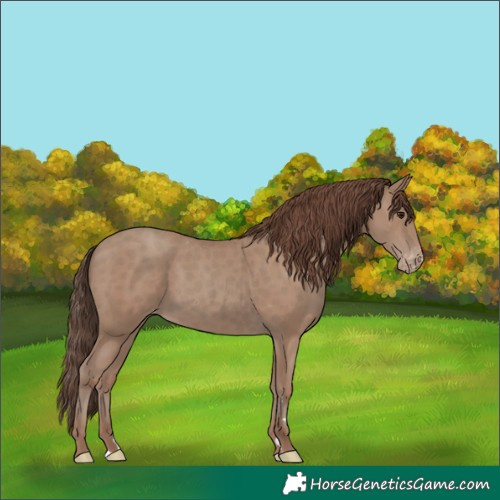 Horse Color:Classic Champagne Varnish 