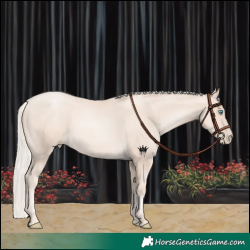 Horse Color:Gold Champagne Snowdrop Pearl 