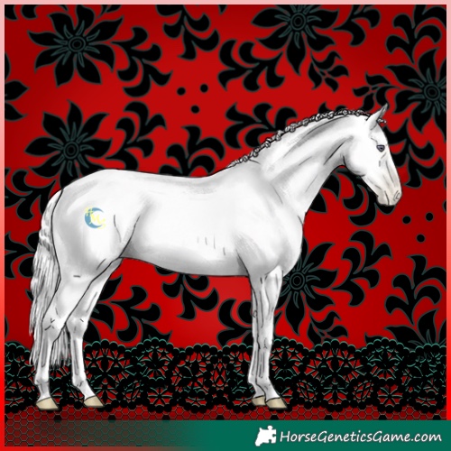 Horse Color:Silver Amber Cream Champagne Chinchilla Roan Pearl
