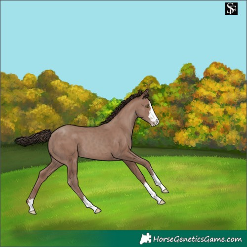 Horse Color:Classic Champagne Mushroom Splash 
