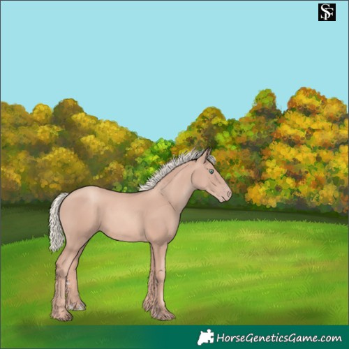 Horse Color:Gold Champagne Mushroom