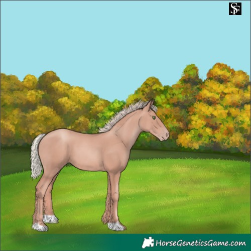 Horse Color:Gold Champagne Mushroom 