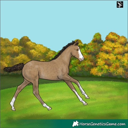 Horse Color:Classic Cream Champagne 