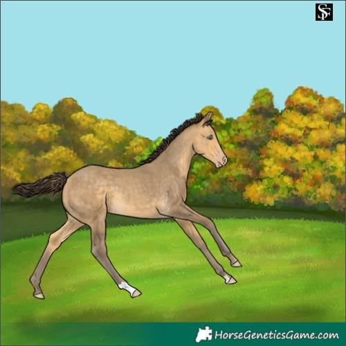 Horse Color:Sable Cream Champagne 