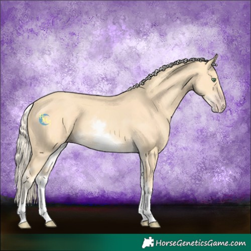 Horse Color:White Spotted Gold Cream Champagne 