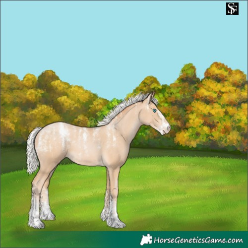 Horse Color:Powder White Silver Buckskin 