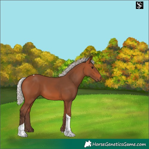 Horse Color:Silver Bay Tobiano