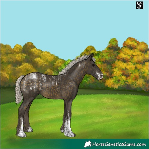 Horse Color:Powder White Silver Buckskin 