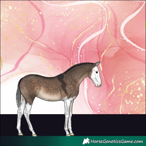 Horse Color:Brown Dun Splash