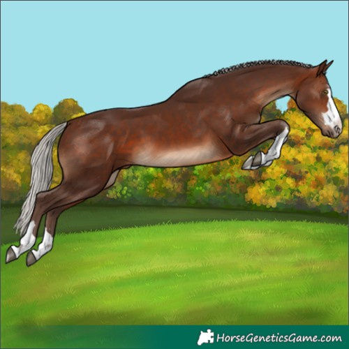 Horse Color:Silver Brown