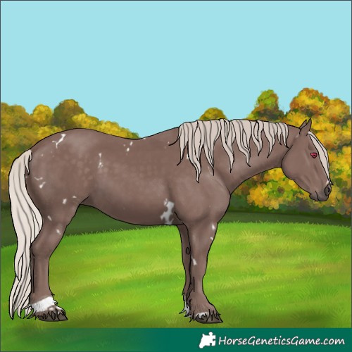 Horse Color:White Spotted Chocolate Silver Black Tobiano 