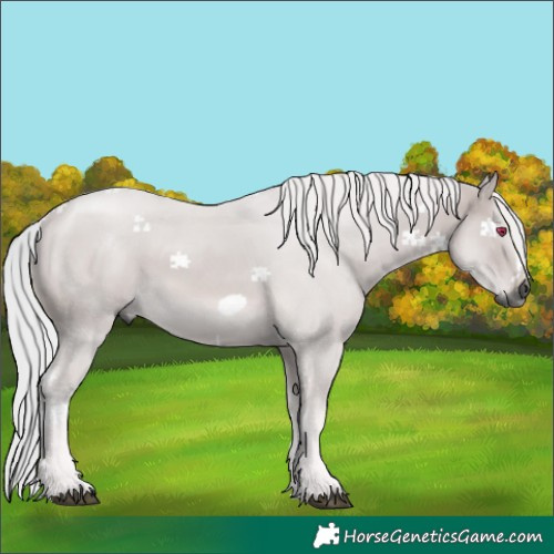 Horse Color:Gray Platinum Silver Buckskin Mushroom Frame