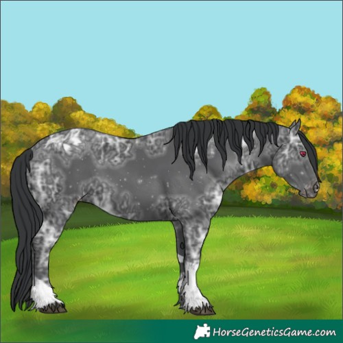 Horse Color:Black Ice Tobiano Varnish