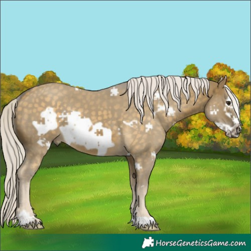 Horse Color:Silver Buckskin Dun Frame Rabicano 