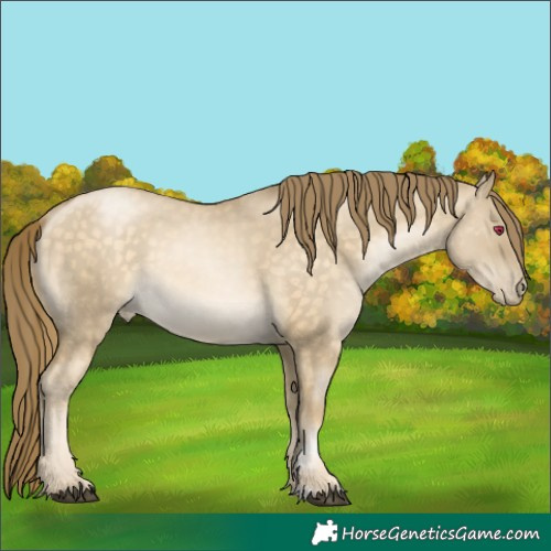 Horse Color:Brown Dun Rabicano 
