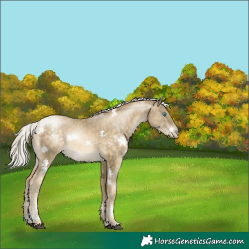 Horse Color:Powder White Silver Brown Rabicano 