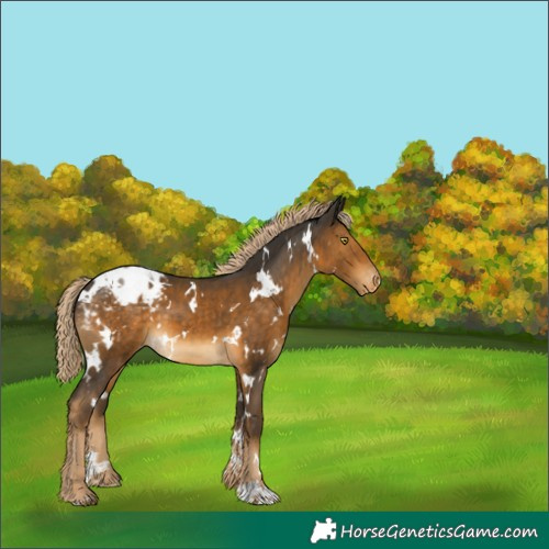 Horse Color:White Spotted Chocolate Palomino Mushroom Varnish