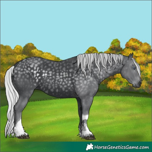 Horse Color:Silver Black Chinchilla Tobiano