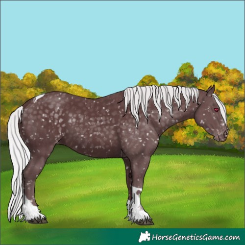 Horse Color:Chocolate Silver Black Chinchilla Tobiano Snowflake Varnish
