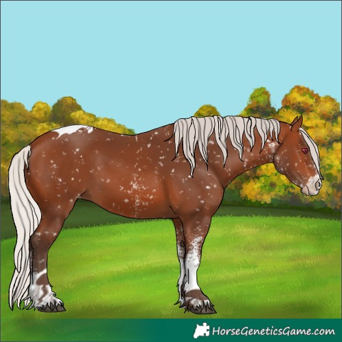 Horse Color:White Spotted Silver Brown Tobiano Snowflake Varnish