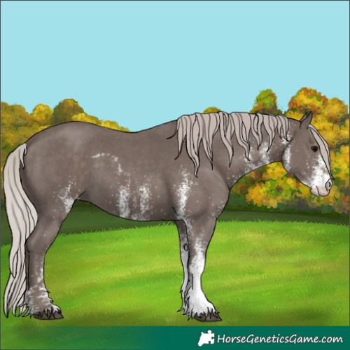 Horse Color:White Spotted Silver Black Skewed LP Spotted 
