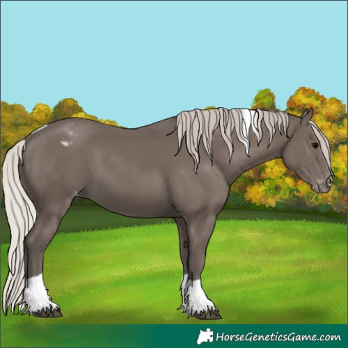 Horse Color:Silver Black Tobiano Varnish