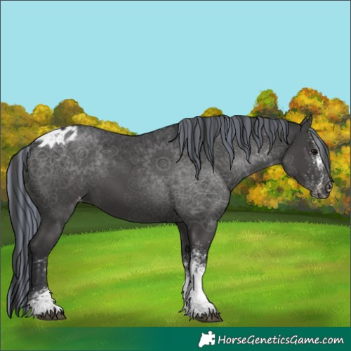 Horse Color:Painted White Spotted Black Skewed LP Spotted