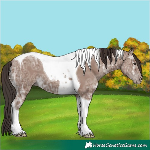 Horse Color:Classic Champagne Ice Tobiano Skewed LP Spotted