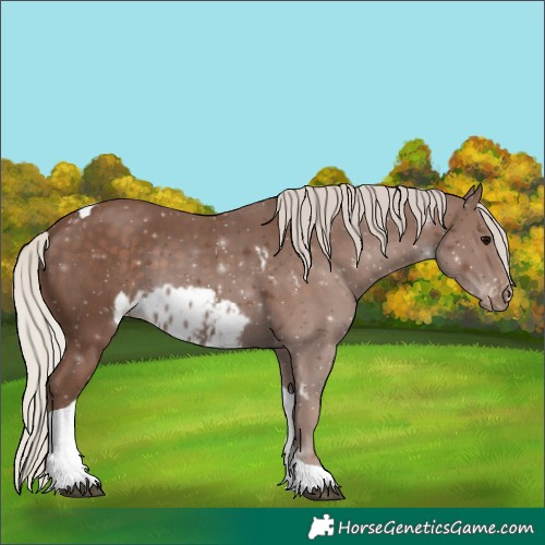 Horse Color:Silver Black Tobiano Skewed LP Spotted