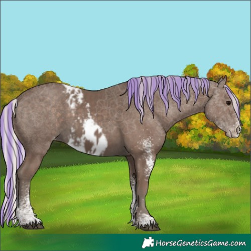 Horse Color:Painted White Spotted Silver Black Skewed LP Spotted 