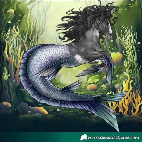 Horse Color:White Spotted Black
