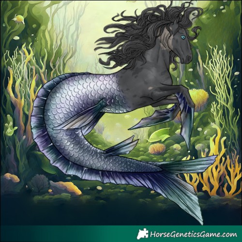 Horse Color:Black Merle Tobiano